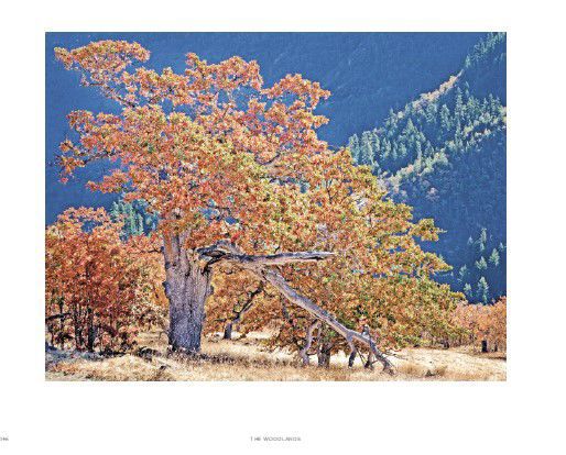 Anacortes photographer to release new book